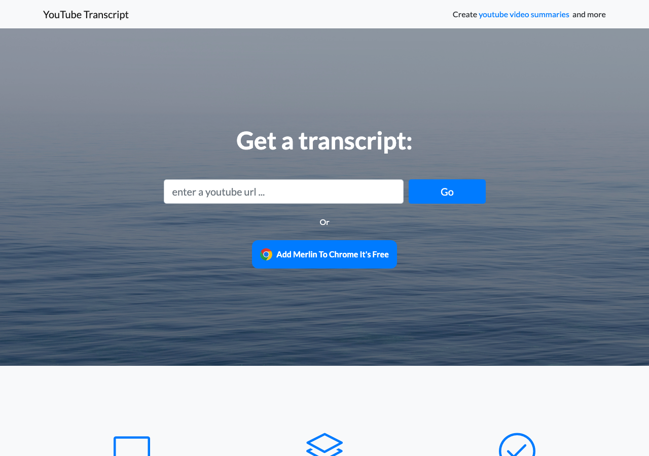 YouTube Transcript Screenshot